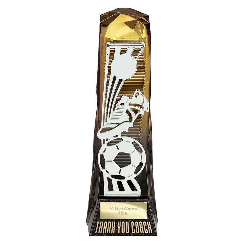 Shard Football Thank You Coach Award
