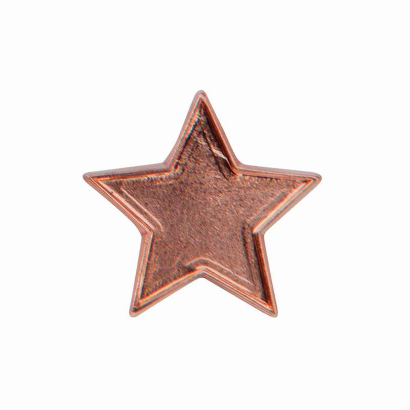 Scholar Pin Badge Star